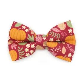 Pet Bow Tie - "Pumpkin Patch - Cranberry" - Burgundy Autumn Harvest Cat Bow / Fall   Thanksgiving / For Cats   Small Dogs (One Size)