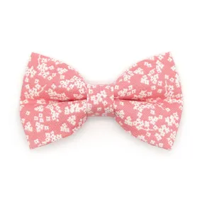 Pet Bow Tie - "Sakura" - Cherry Blossom Pink Floral Bow Tie / Spring, Easter, Wedding / For Cats   Small Dogs (One Size)