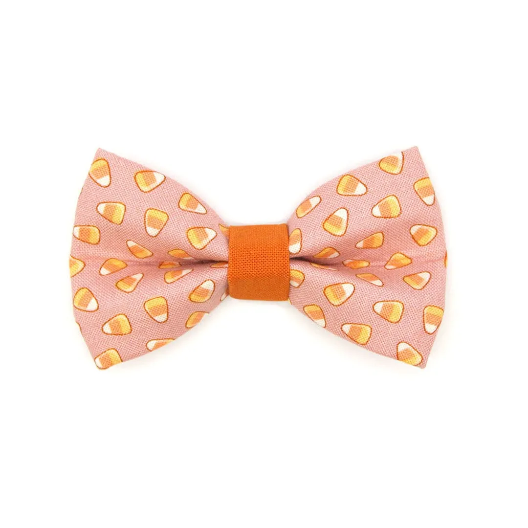 Pet Bow Tie - "Sweet Tooth" - Pink Halloween Candy Corn Bow Tie / For Cats   Small Dogs (One Size)