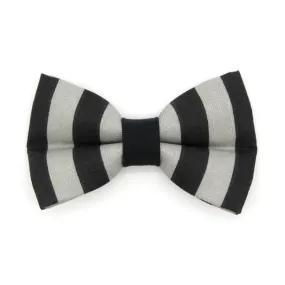 Pet Bow Tie - "Unexpected Guest" - Black & Gray Striped Cat Bow / Halloween / For Cats   Small Dogs (One Size)