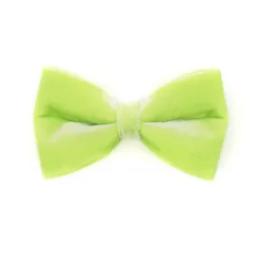 Pet Bow Tie - "Velvet - Apple Green" - Light Green Velvet Bow Tie for Cat / For Cats   Small Dogs (One Size)