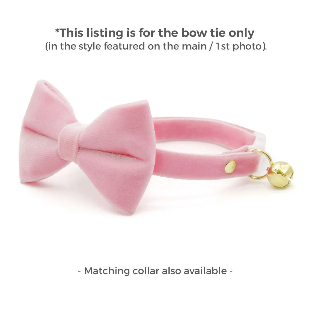 Pet Bow Tie - "Velvet - Ballet Pink" - Classic Light Pink Velvet Cat Bow Tie / For Cats   Small Dogs (One Size)