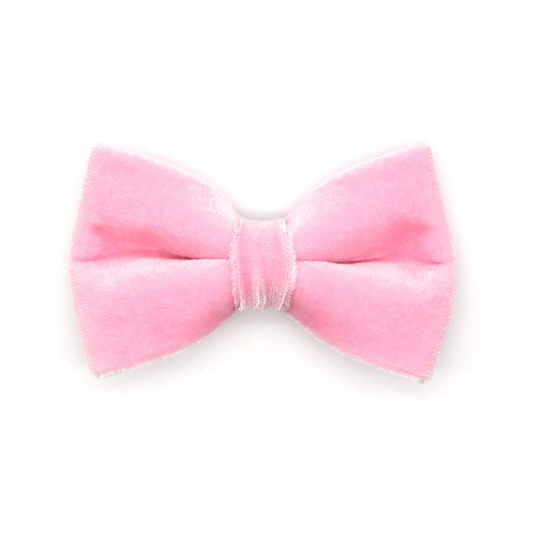Pet Bow Tie - "Velvet - Ballet Pink" - Classic Light Pink Velvet Cat Bow Tie / For Cats   Small Dogs (One Size)