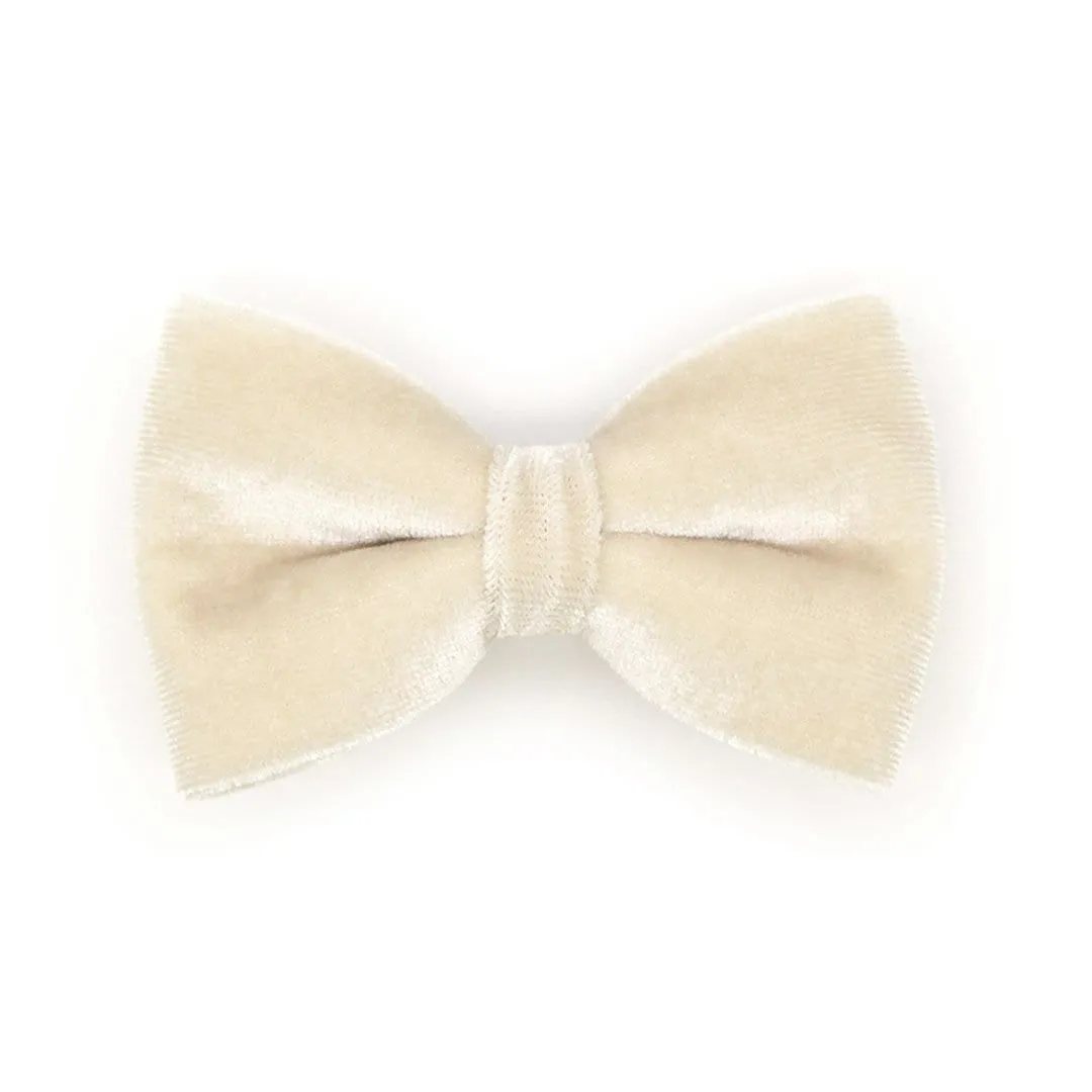 Pet Bow Tie - "Velvet - Chantilly Cream" - Warm Light Beige Velvet Cat Bow Tie / For Cats   Small Dogs (One Size)