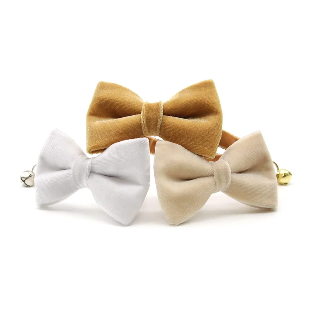 Pet Bow Tie - "Velvet - Chantilly Cream" - Warm Light Beige Velvet Cat Bow Tie / For Cats   Small Dogs (One Size)