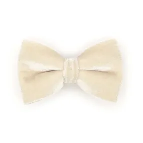Pet Bow Tie - "Velvet - Chantilly Cream" - Warm Light Beige Velvet Cat Bow Tie / For Cats   Small Dogs (One Size)