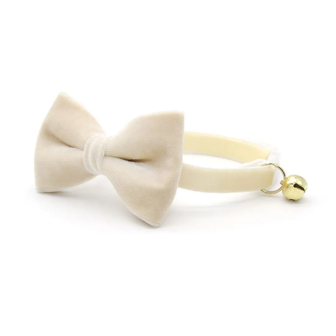 Pet Bow Tie - "Velvet - Chantilly Cream" - Warm Light Beige Velvet Cat Bow Tie / For Cats   Small Dogs (One Size)