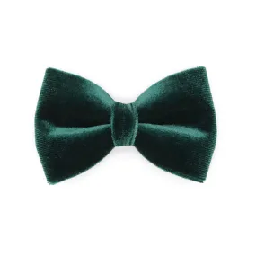 Pet Bow Tie - "Velvet - Hunter Green" - Rich Lustrous Dark Green Soft Velvet - Christmas / Holiday - Detachable Bowtie for Cats   Dogs