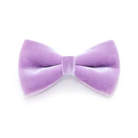 Pet Bow Tie - "Velvet - Lavender" - Light Purple Velvet Bowtie / Wedding / For Cats   Small Dogs / Removable (One Size)