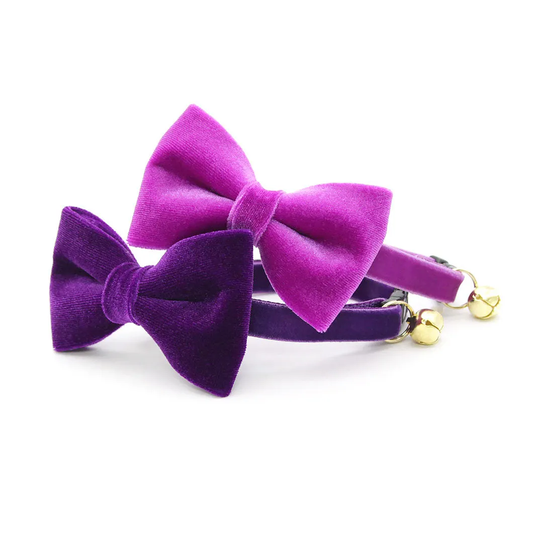 Pet Bow Tie - "Velvet - Royal Purple" - Rich Purple Velvet Bowtie / Wedding / For Cats   Small Dogs (One Size)