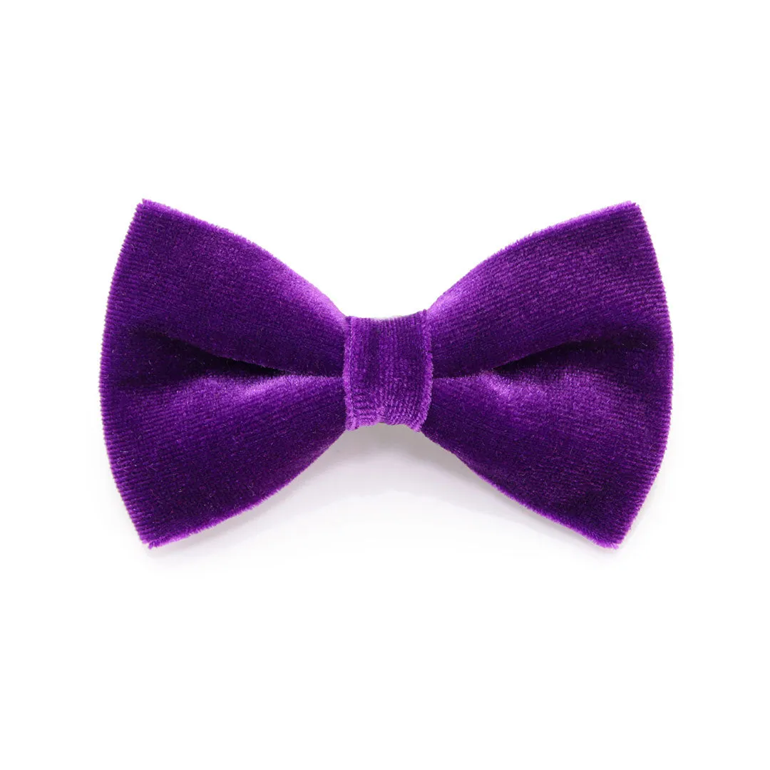 Pet Bow Tie - "Velvet - Royal Purple" - Rich Purple Velvet Bowtie / Wedding / For Cats   Small Dogs (One Size)