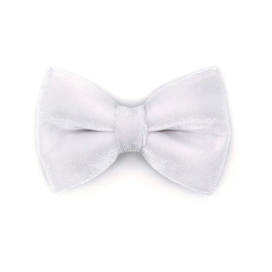 Pet Bow Tie - "Velvet - Snowy White" - Velvet White Bow Tie for Cat / For Cats   Small Dogs (One Size)
