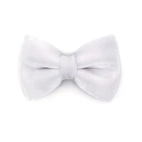Pet Bow Tie - "Velvet - Snowy White" - Velvet White Bow Tie for Cat / For Cats   Small Dogs (One Size)