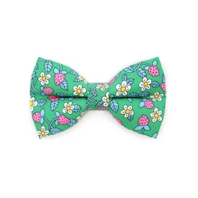 Pet Bow Tie - "Wild Strawberry - Mint" - Liberty of London® Berry Floral Cat Bow Tie / Spring   Summer / For Cats   Small Dogs (One Size)