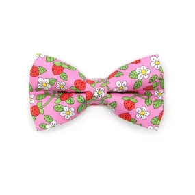 Pet Bow Tie - "Wild Strawberry - Pink" - Liberty of London® Berry Floral Cat Bow Tie / Spring   Summer / For Cats   Small Dogs (One Size)
