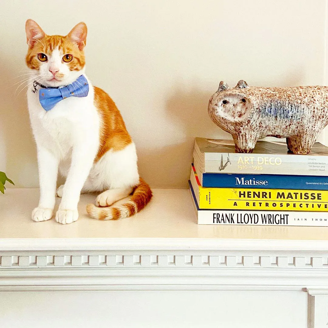 Rifle Paper Co® Pet Bow Tie - "Dusk" - Gold Stars on Periwinkle Blue Bow Tie for Cat / For Cats   Small Dogs (One Size)
