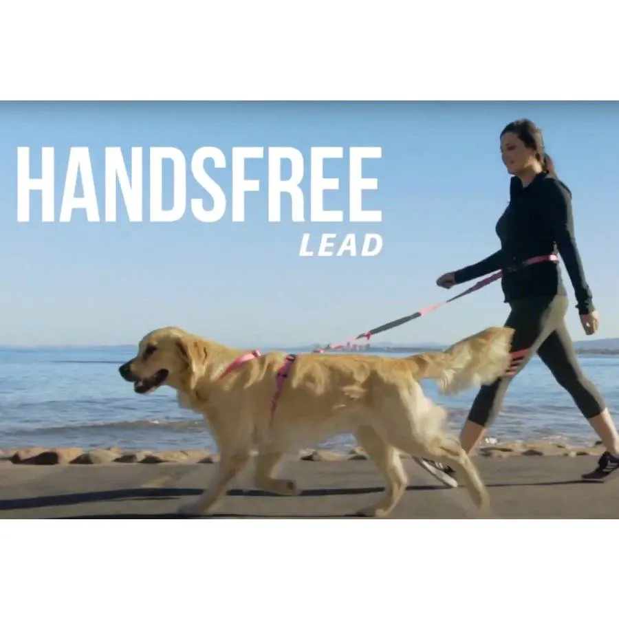 Rogz Specialty Handsfree Lead Black