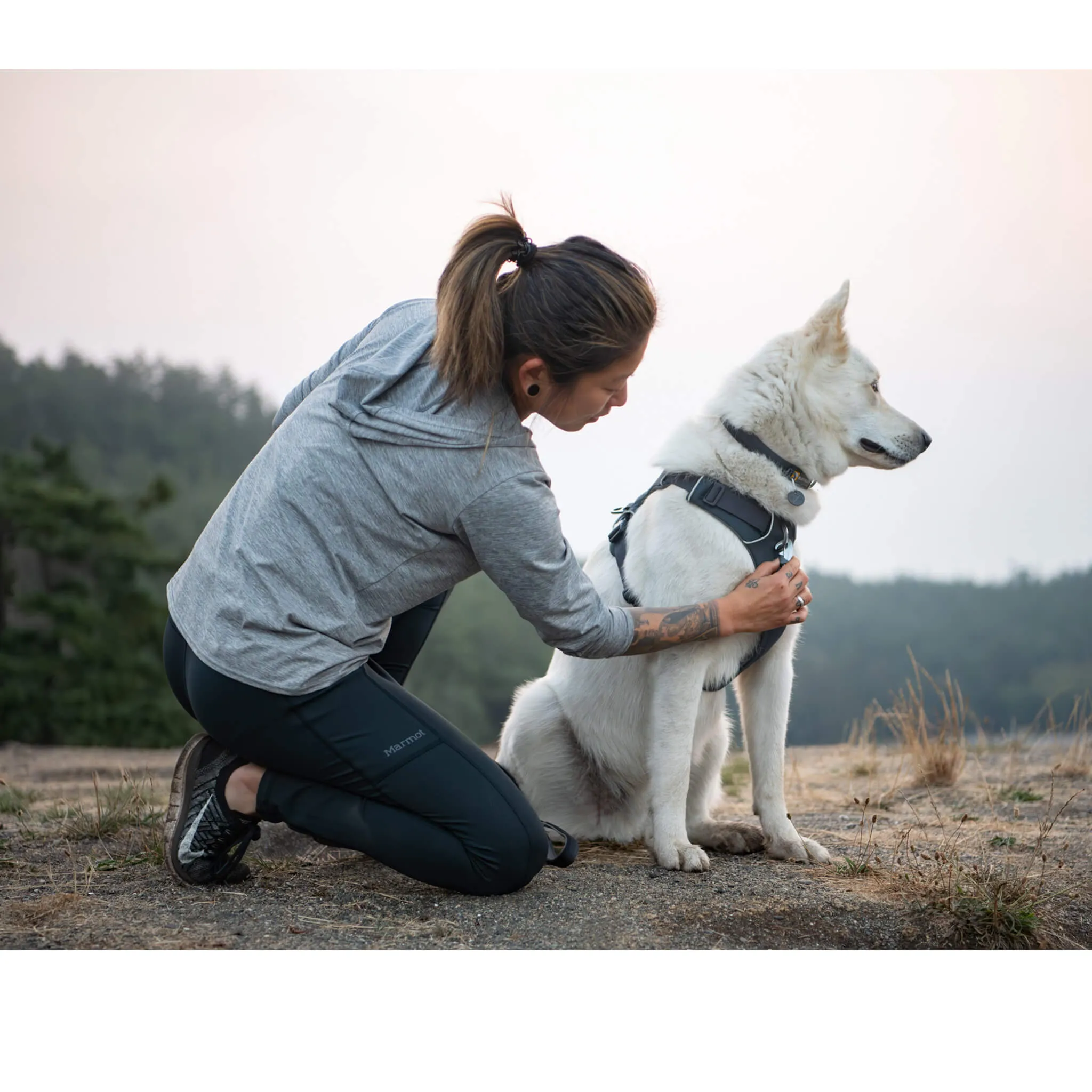 Ruffwear Front Range Harness for Dogs