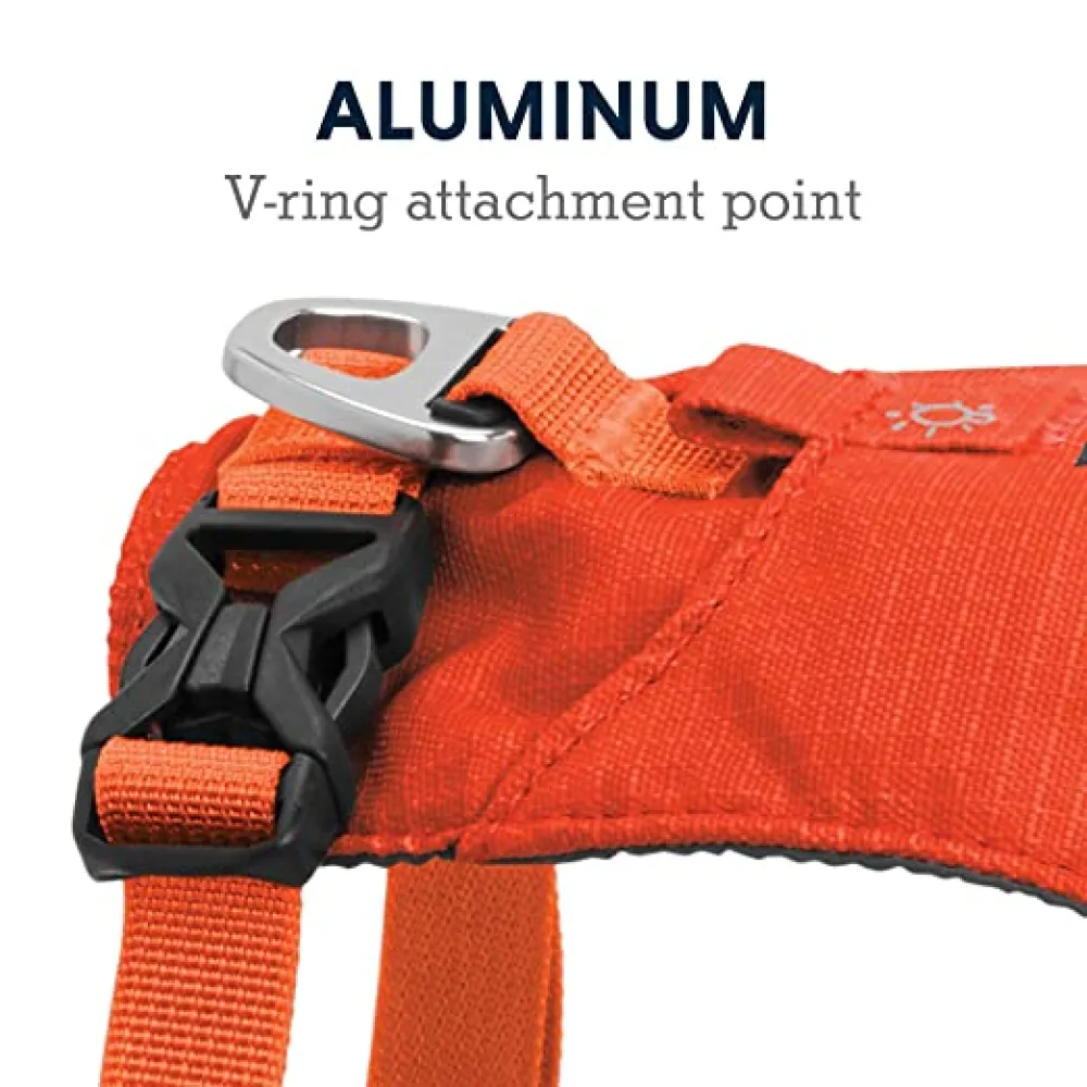 Ruffwear Hi & Light Harness for Dogs (Sockeye red)