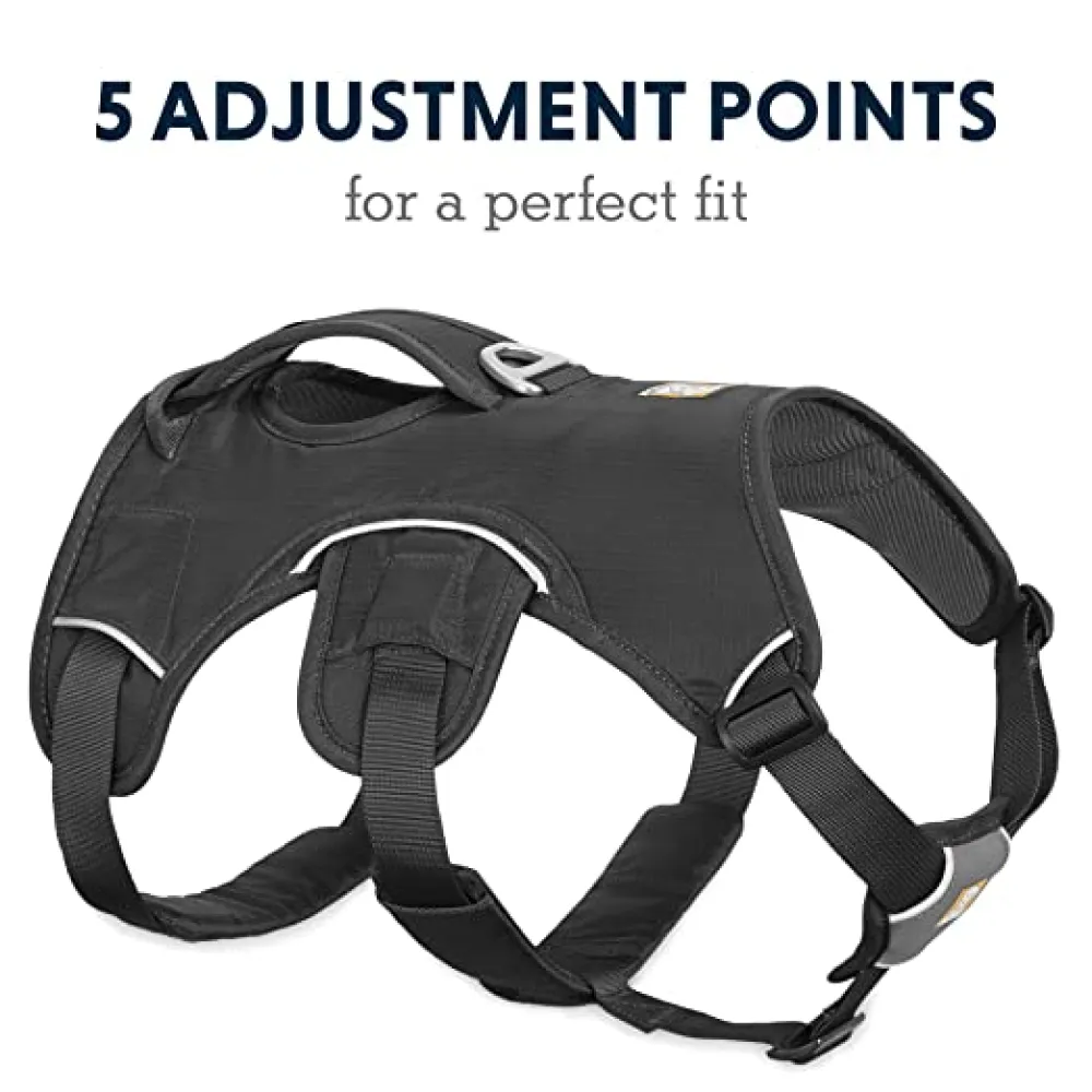 Ruffwear Webmaster Harness for Dogs (Twilight Grey)