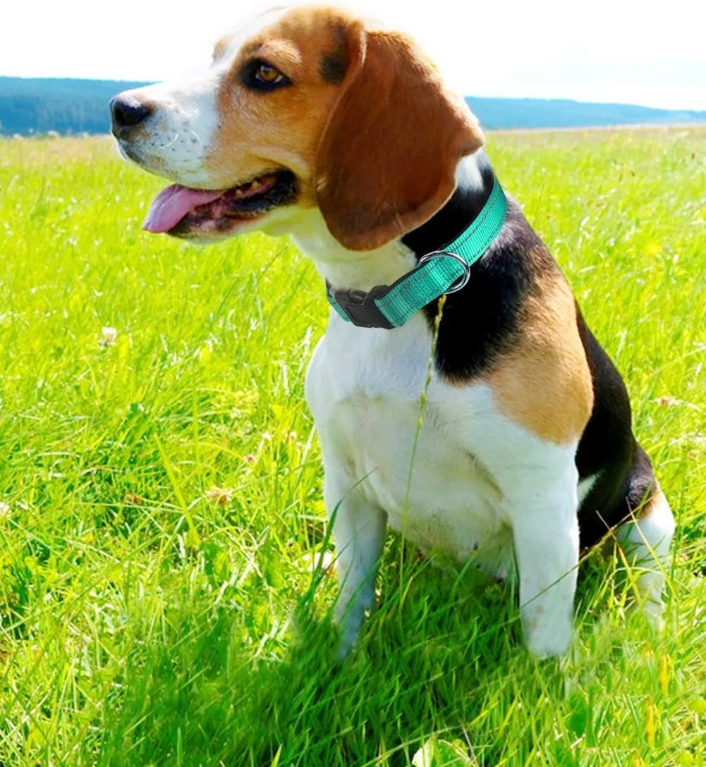 Soft Neoprene Padded Breathable Reflective Dog Collar