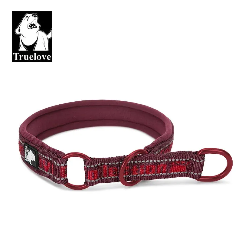 Truelove Adjustable Reflective Nylon Pet Collar with Neoprene Padding for Dogs and Cats - Model TLC5371