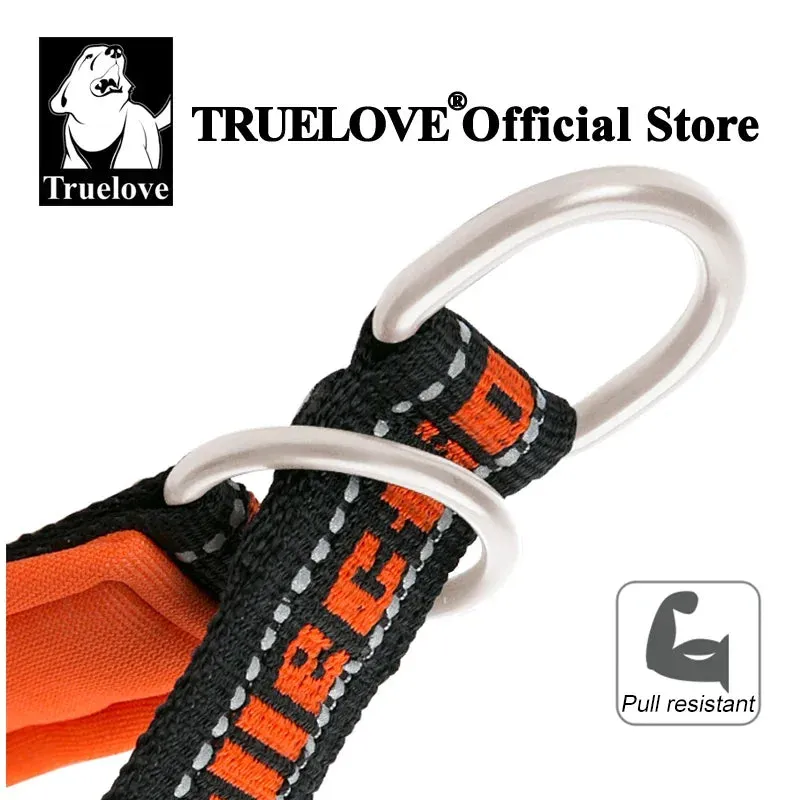 Truelove Adjustable Reflective Nylon Pet Collar with Neoprene Padding for Dogs and Cats - Model TLC5371