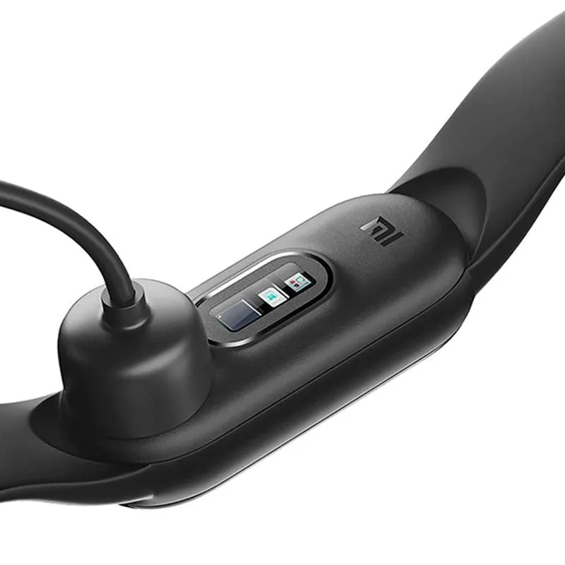 Xiaomi Mi Smart Band 6 (Black, Special Import)
